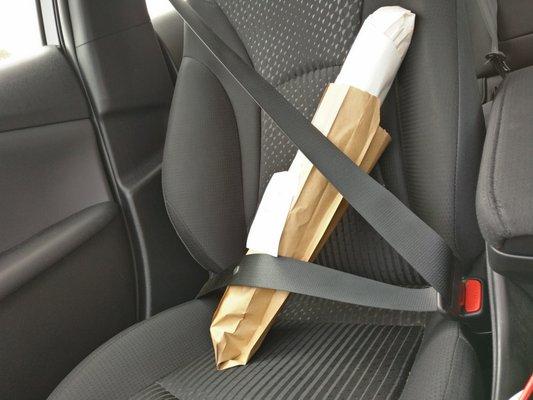 All buckled in for the ride home.