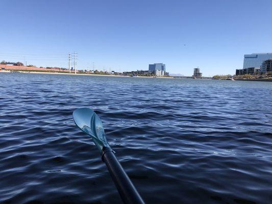 Looking back at the marina