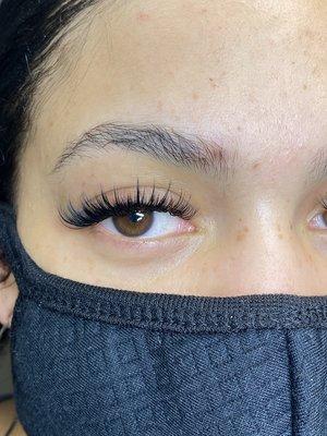 Wispy Lashes