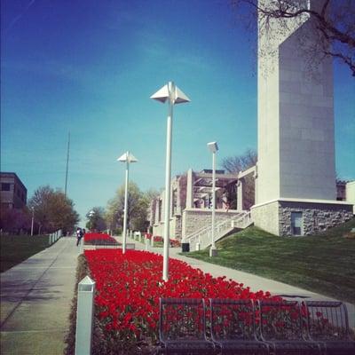 Rockhurst Campus in the Spring