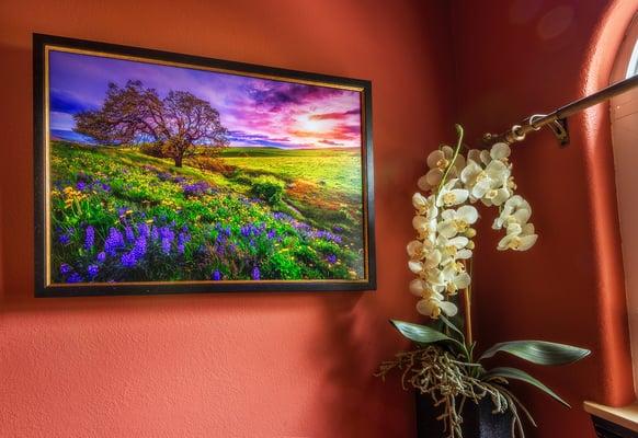 20x30 framed  metallic canvas print.