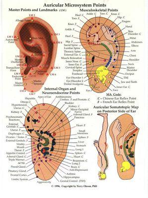 One of the Dr. C's specialties is auricular therapy