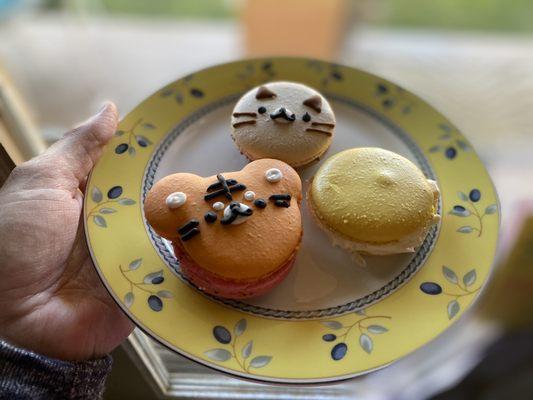 Strawberry, salted caramel, and chocolate macarons (4/21/22)