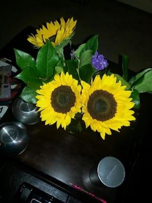 Sunflowers