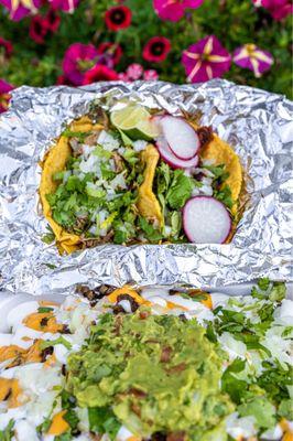 Carnitas traditional taco, Al pastor traditional taco, carne asada fries