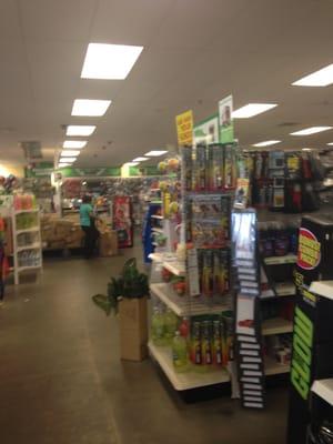 North Easton Dollar Tree -- RK Center: 20 Roche Bros Way, N Easton               Interior