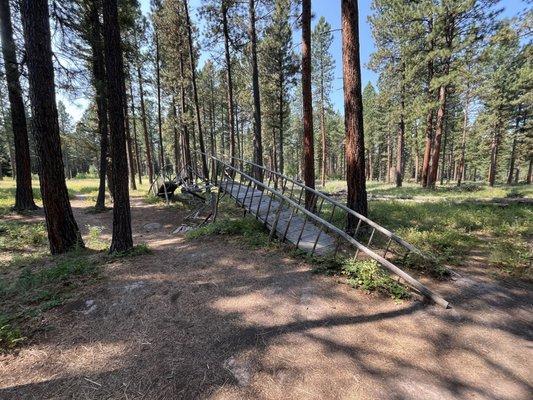 Blackfoot Pathways:Sculpture in the Wild