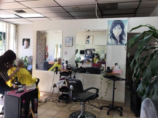 Salon