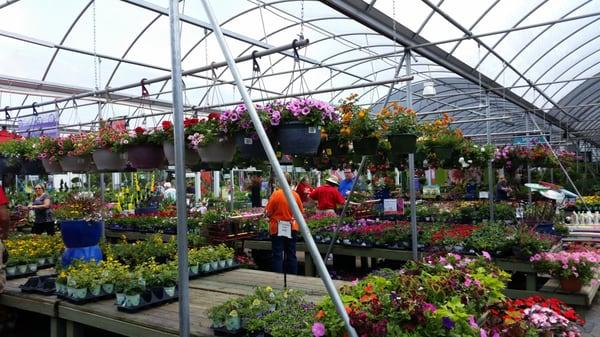 A great nursery with good variety & helpful employees.