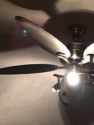 Dirty ceiling fan. I know it's gross....it's always on so it gets missed a lot. It wasn't on when she was here.