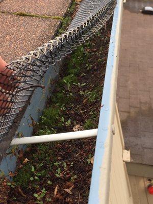 Gutter screens do help but still allow a good amount of debris through the holes.....  We're happy to help you clean them out !