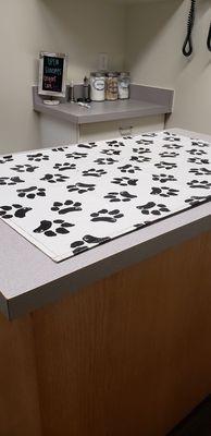 Vet exam room.