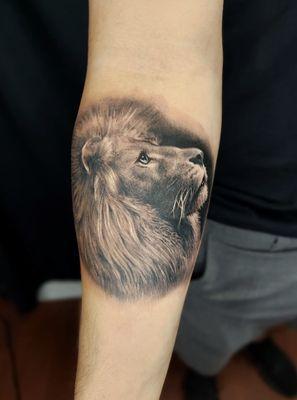 Realistic Lion Tattoo done at Mr. Inkwells Tattoo Shop
  #tattooshop
  #realismtattoos