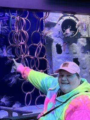 Photo of Willie at the aquarium (water zoo) as I call it.