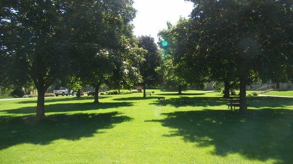 Lots of Green Space with Manicured Lawns, Picnic Tables, & Grills