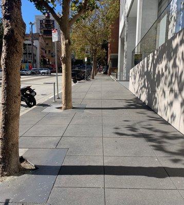 Architectural concrete sidewalk with stainless steel tree frame and grate.