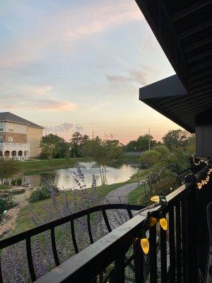 Patio view