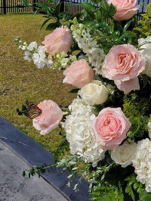 Even the butterfly stopped to smell the roses