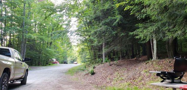 Looking to the road from our site