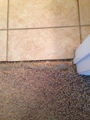 cat scratch damage at entry to the bathroom