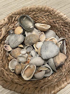 Shells all snug in the basket purchased at Gay Dolphin