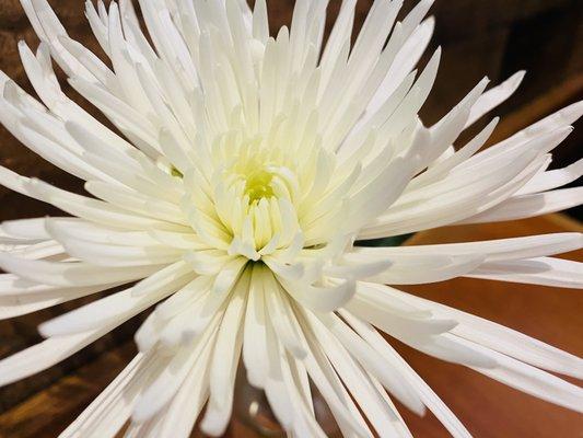 Fresh flowers at every table