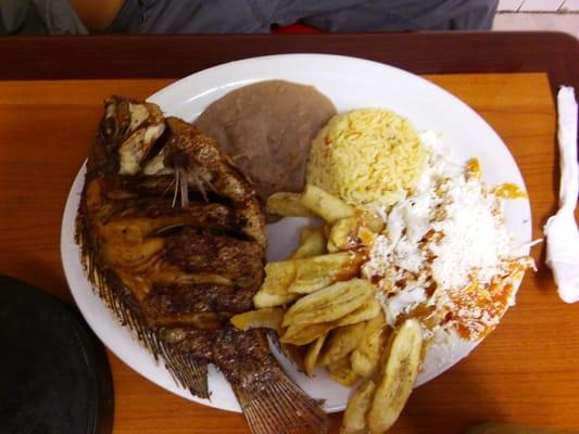 Fried fish with tajadas and honduran cheese