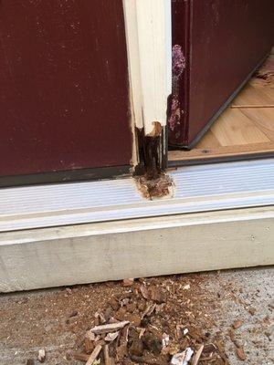 Door jamb rotted. From a "no rot" door jamb.