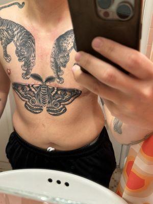 Chest and Moth done by Katie Gray.