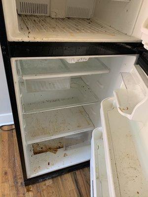 Refrigerator BEFORE