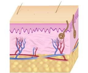 Skin Surgery Jackson MS