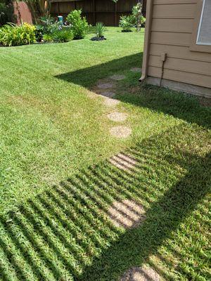 Damaged lawn