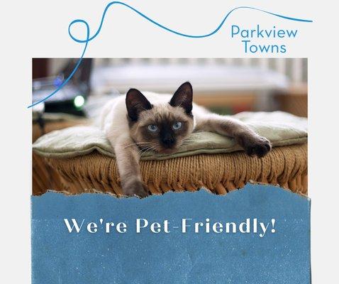 Here at Parkview Towns in Lindon, Utah, pets allowed!