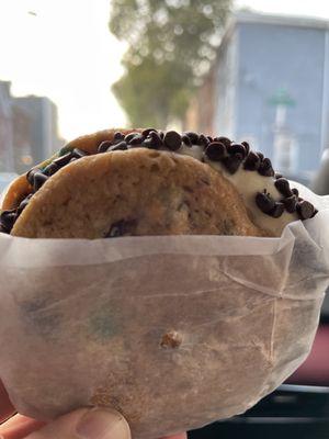 Ice Cream Cookie Sandwich $5