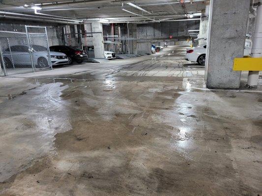 Water collecting from leak in parking garage under pool deck at Brickell Heights, July 2021