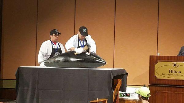 Live tuna cutting demo