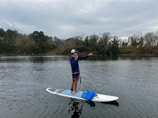 paddle board rentals