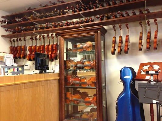 Cadenza Violins