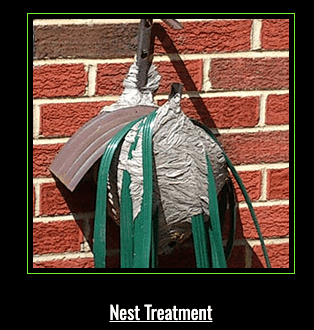 Nest Treatment