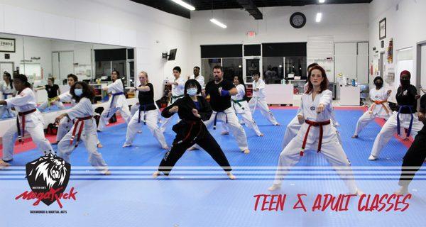 MegaKick Teen & Adult Classes - Ages 13+