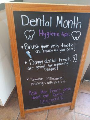 February is pet Dental Month and dental care is discounted.