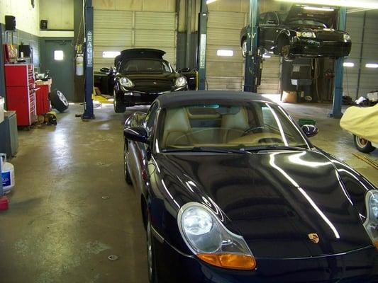 Just two Porsches very happy to be at Trask Automotive