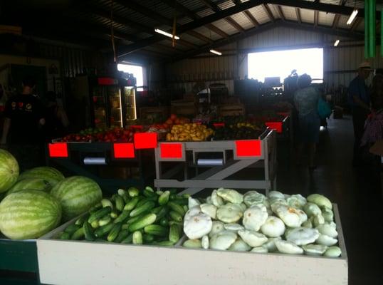 The patty pan squash, cucumbers, and okra are grown right there on the farm