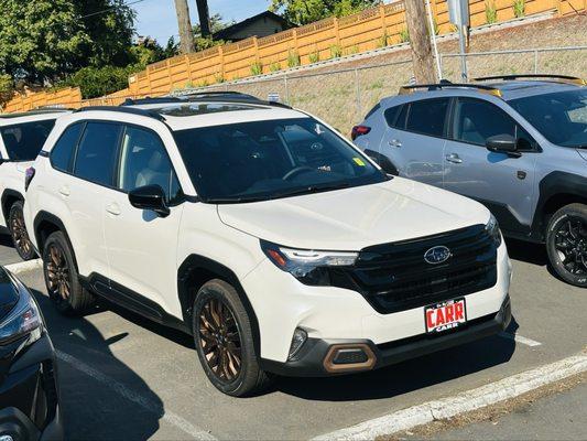 2025 White Forester Sporr with copper trim