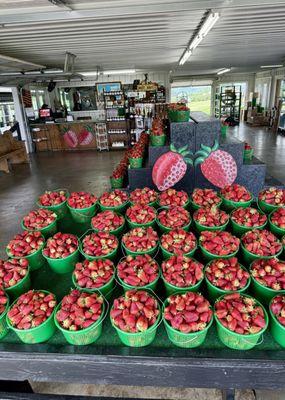 Knob Creek Orchard & Creamery