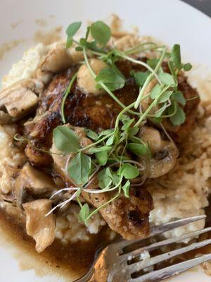 Airline chicken Marsala with sage garlic risotto! Topped with micro greens.