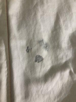 Stain on bed sheet