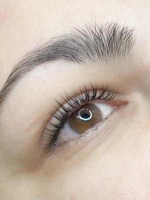 Classic lash extensions