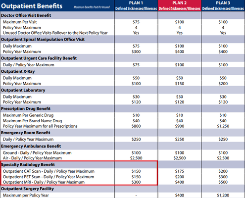 Brochure - Freedom Life Insurance Co of America