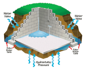 Moisture specialists. Basements.